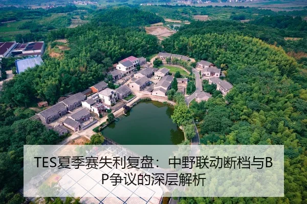TES夏季赛失利复盘：中野联动断档与BP争议的深层解析（FIFA）